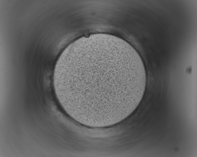 X0000116600010200912312106