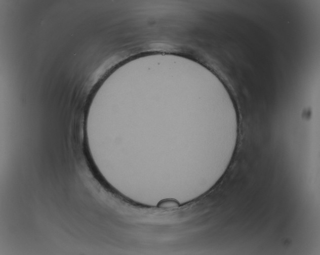 X0000116600011200912312106