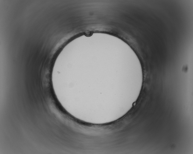 X0000116600012200912312106