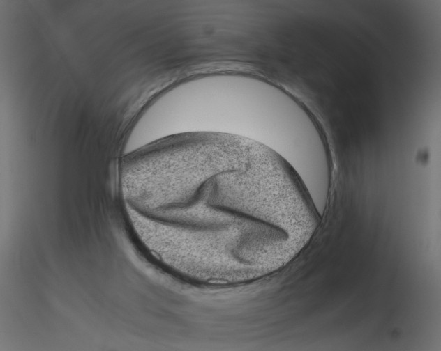 X0000116600013200912312106
