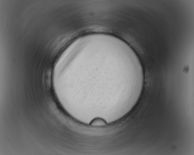 X0000116600014200912312106