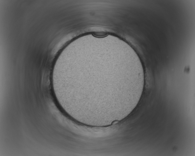 X0000116600015200912312106