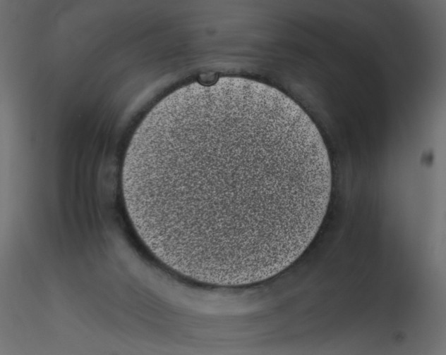 X0000116600016200912312106