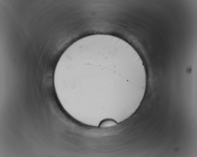 X0000116600017200912312106