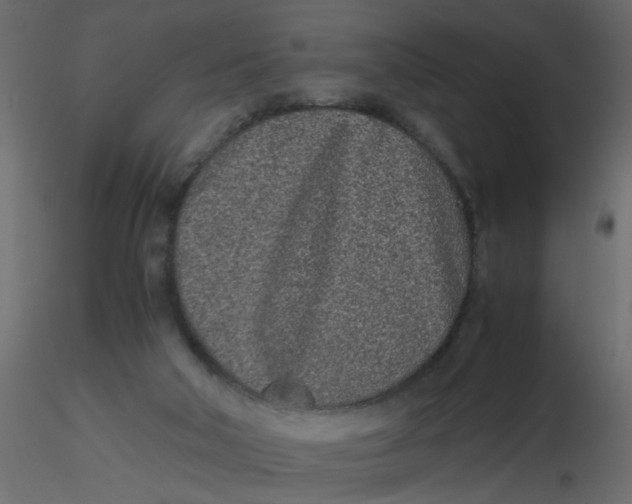 X0000116600018200912312106