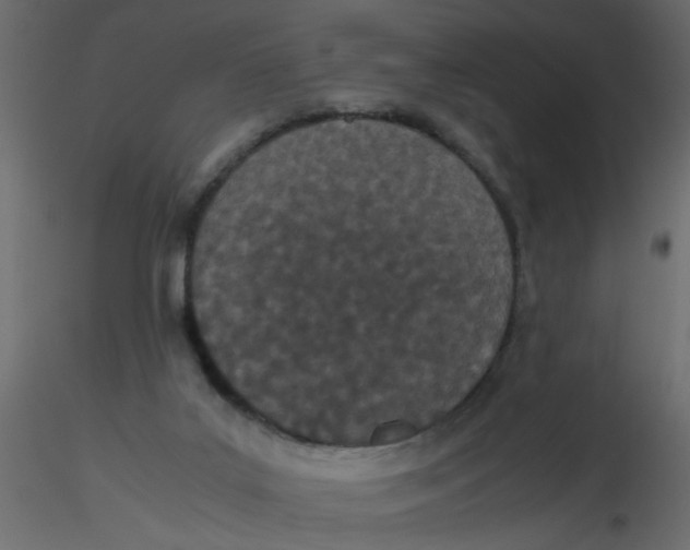 X0000116600019200912312106
