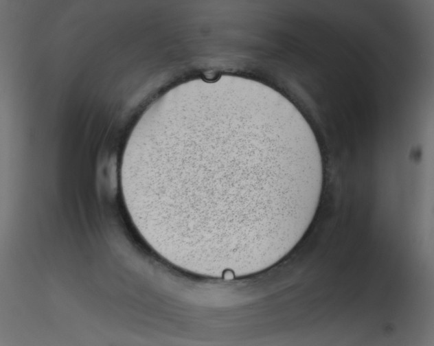 X0000116600020200912312106