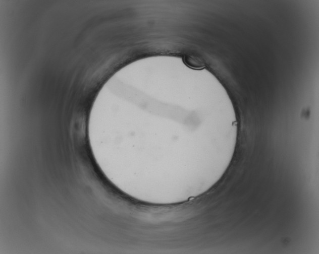 X0000116600021200912312106