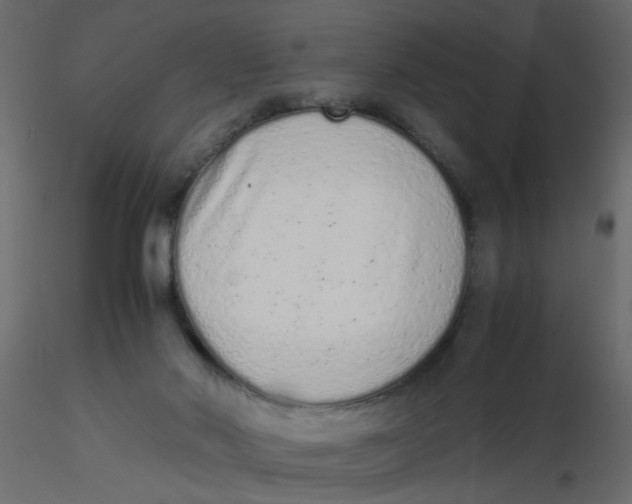 X0000116600022200912312106