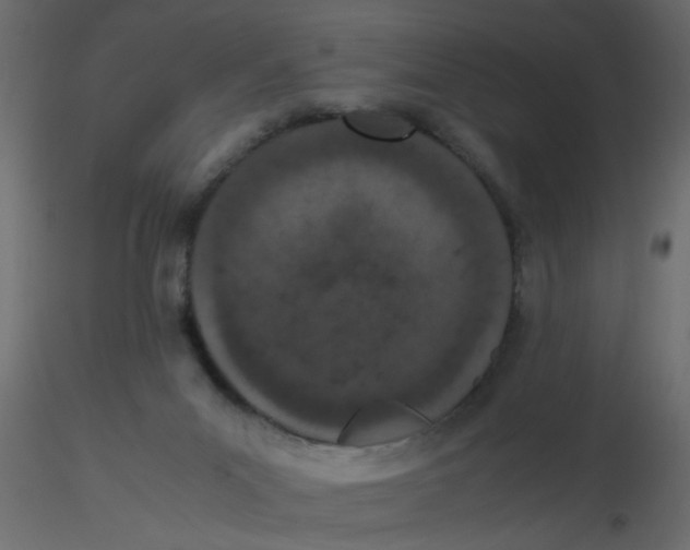 X0000116600023200912312106