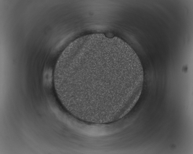 X0000116600024200912312106