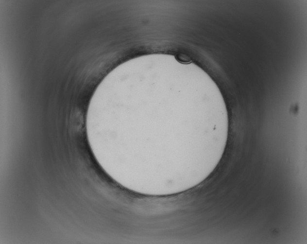 X0000116600025200912312106
