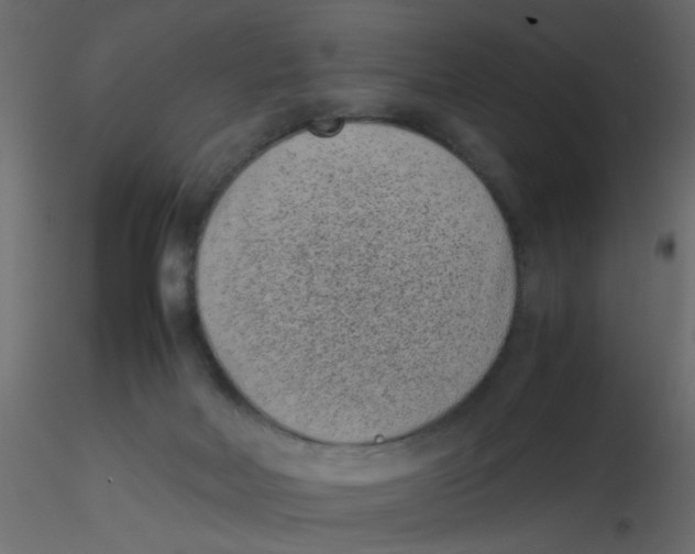 X0000116600026200912312106