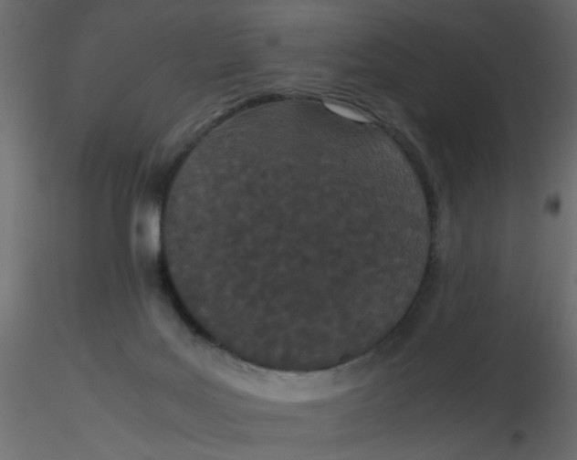 X0000116600027200912312106