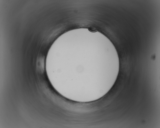 X0000116600028200912312106