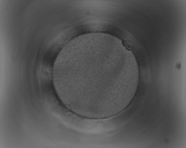 X0000116600029200912312106