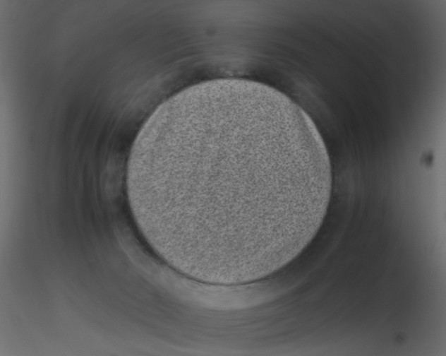 X0000116600030200912312106