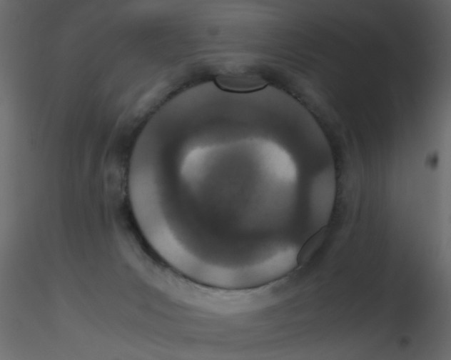 X0000116600031200912312106