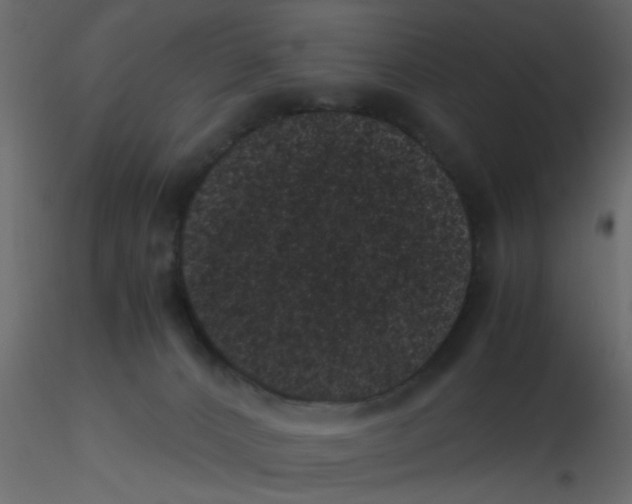 X0000116600032200912312106