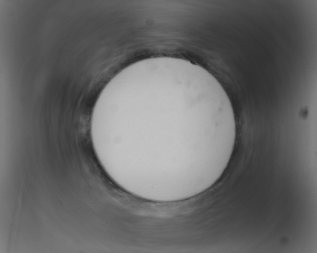 X0000116600033200912312106