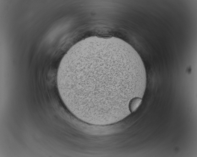 X0000116600034200912312106