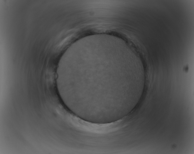 X0000116600035200912312106