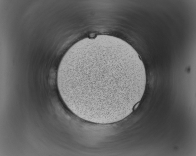 X0000116600036200912312106