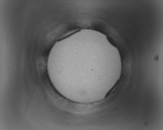 X0000116600037200912312106