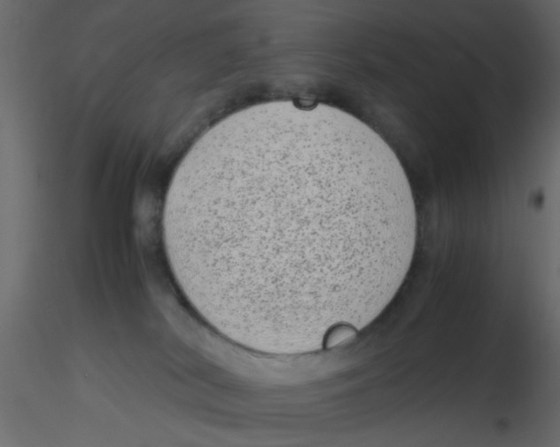 X0000116600038200912312106