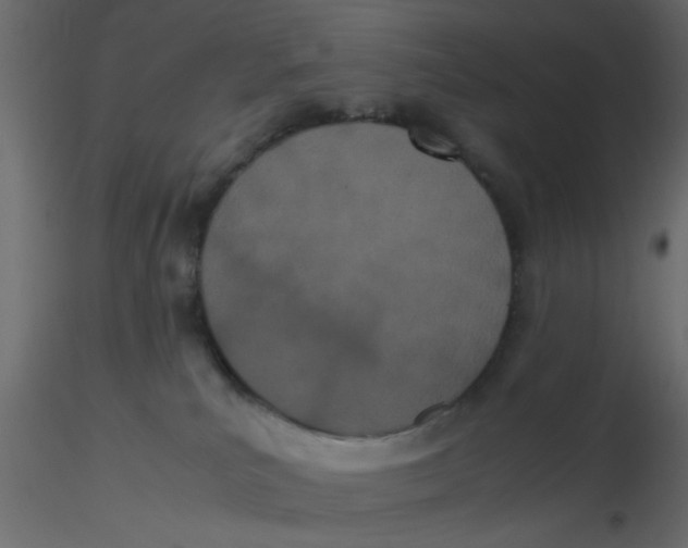X0000116600039200912312106