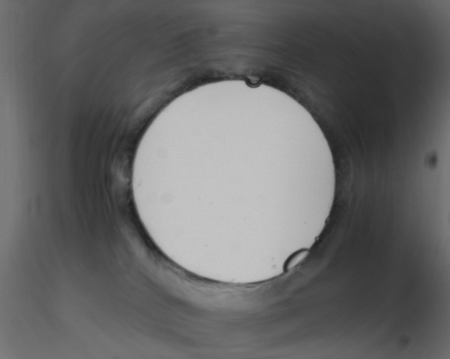 X0000116600040200912312106