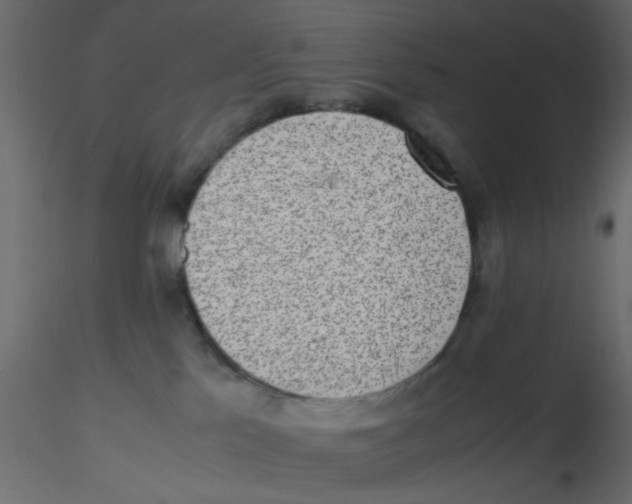 X0000116600041200912312106