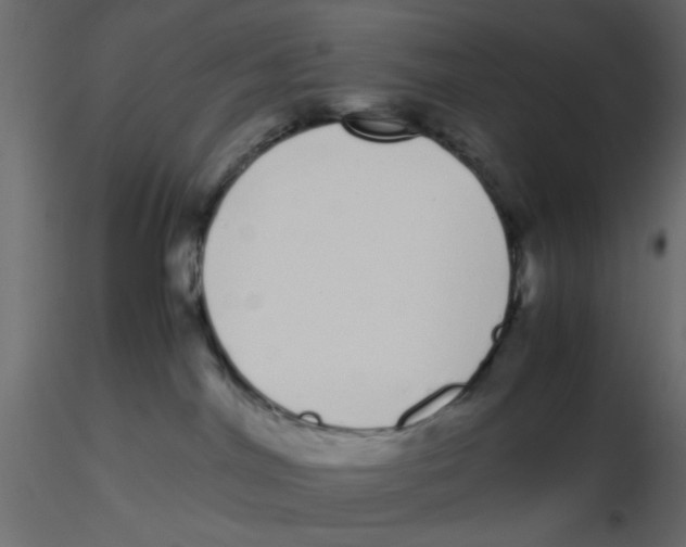 X0000116600044200912312106