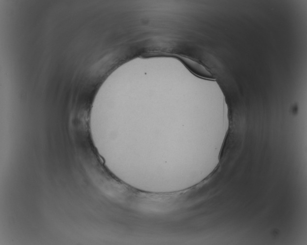 X0000116600045200912312106