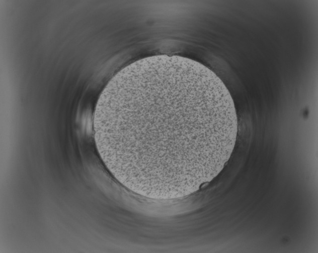 X0000116600046200912312106