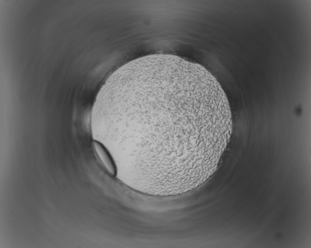 X0000116600047200912312106