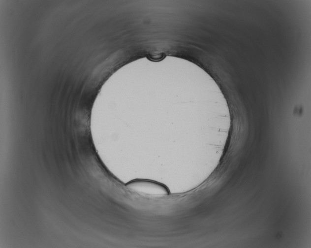 X0000116600048200912312106