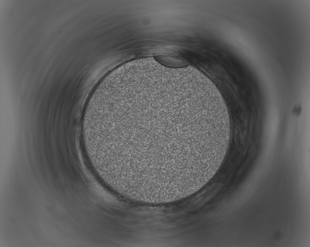 X0000116600049200912312105