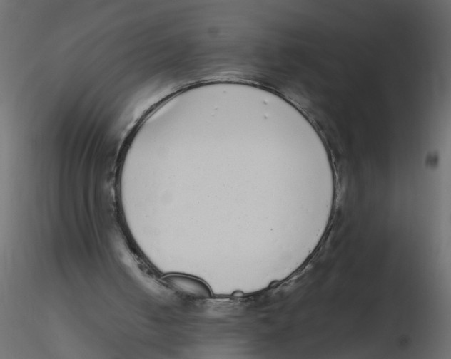 X0000116600050200912312105