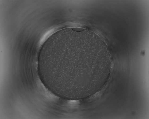 X0000116600053200912312105