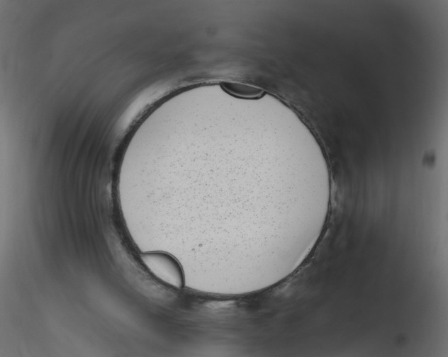 X0000116600054200912312105