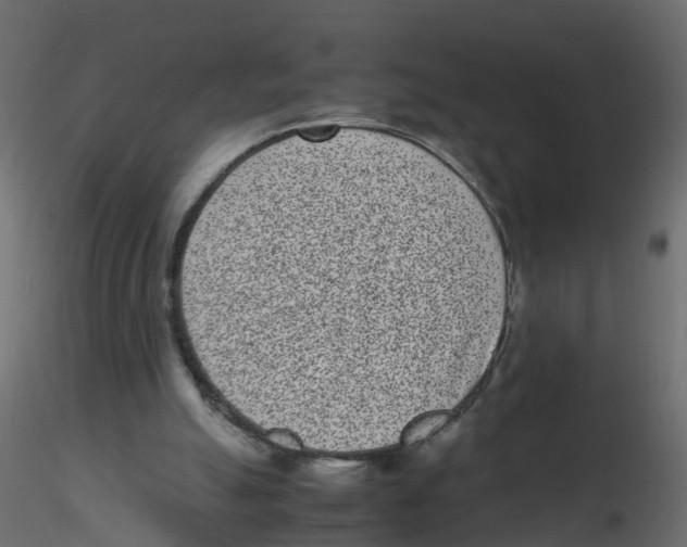 X0000116600055200912312105
