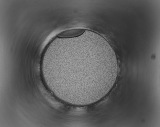 X0000116600056200912312105