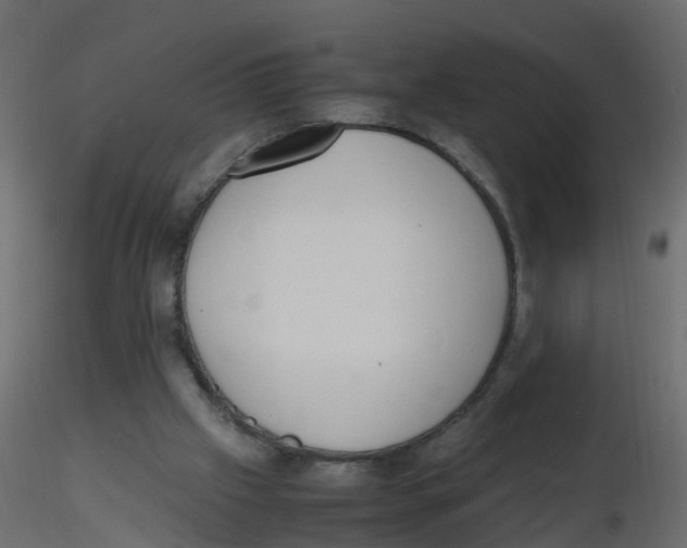 X0000116600057200912312105