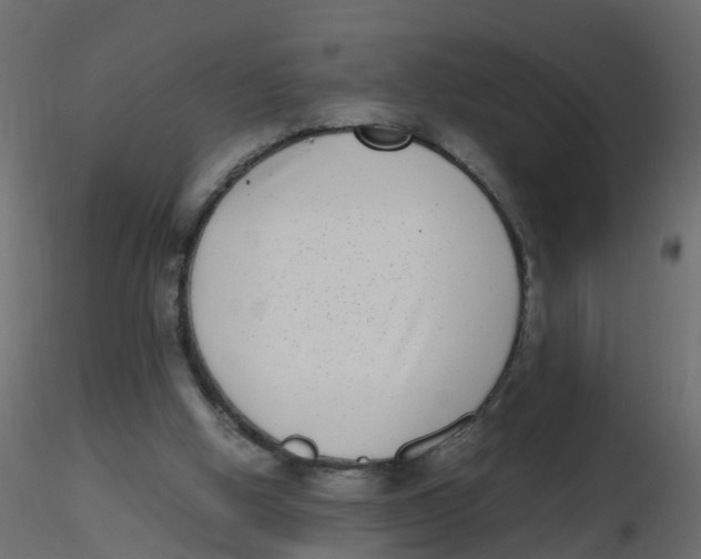 X0000116600058200912312105