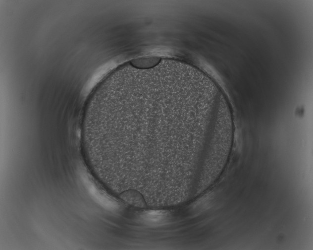 X0000116600059200912312105