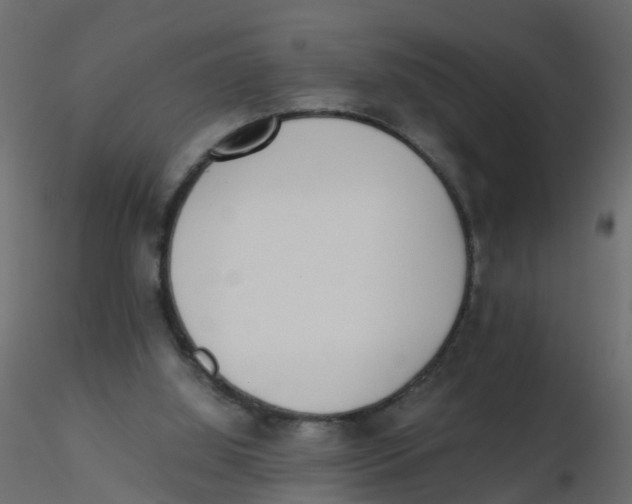 X0000116600060200912312105