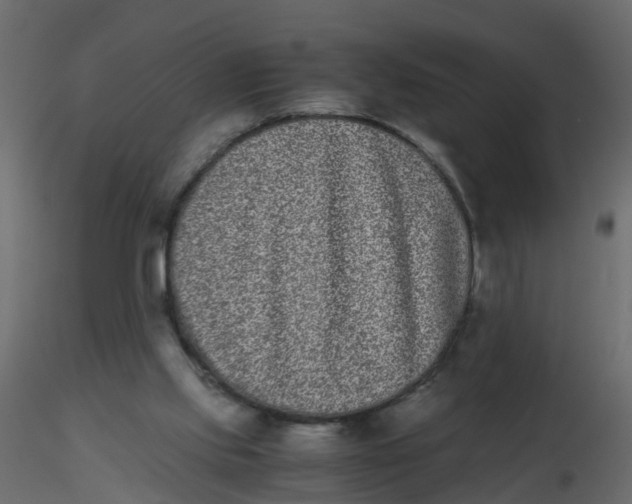 X0000116600061200912312105