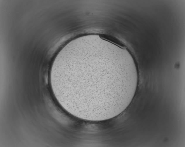 X0000116600062200912312105