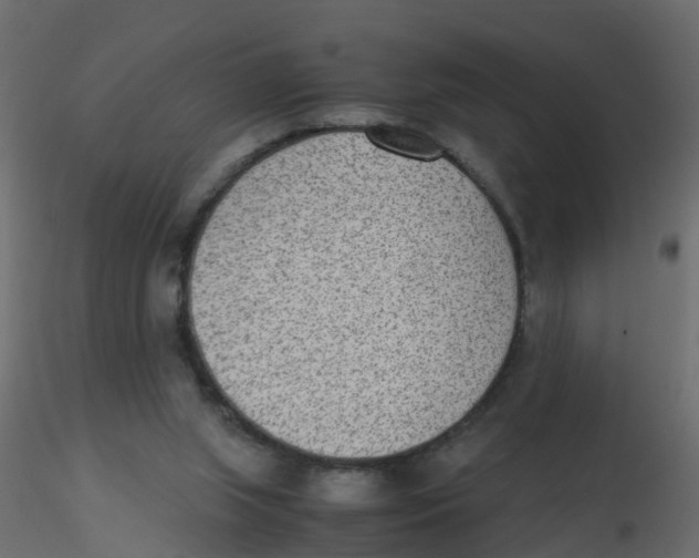 X0000116600063200912312105